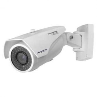 IP Cameras